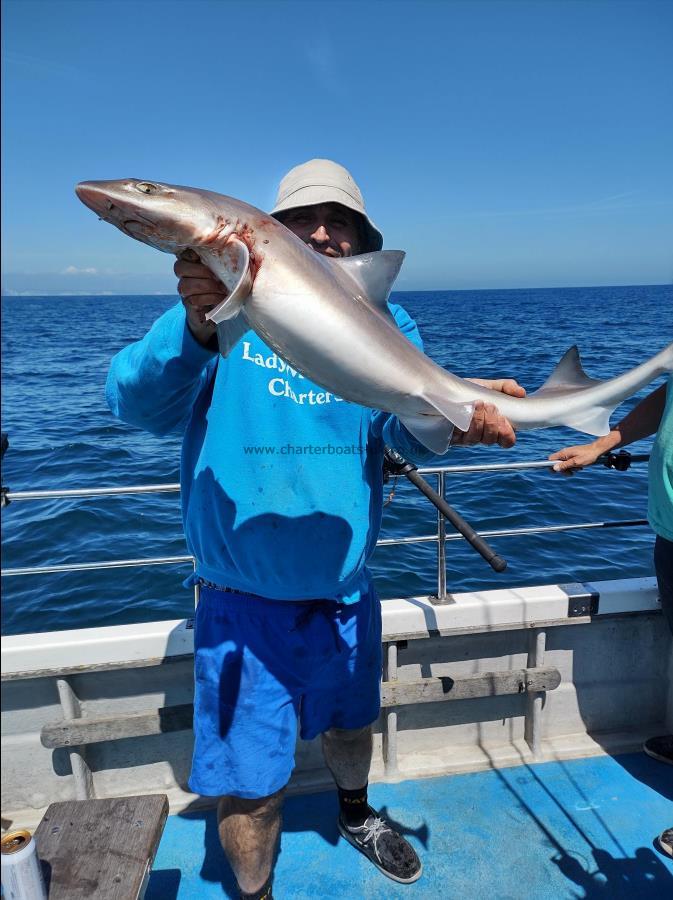 13 lb 6 oz Smooth-hound by John