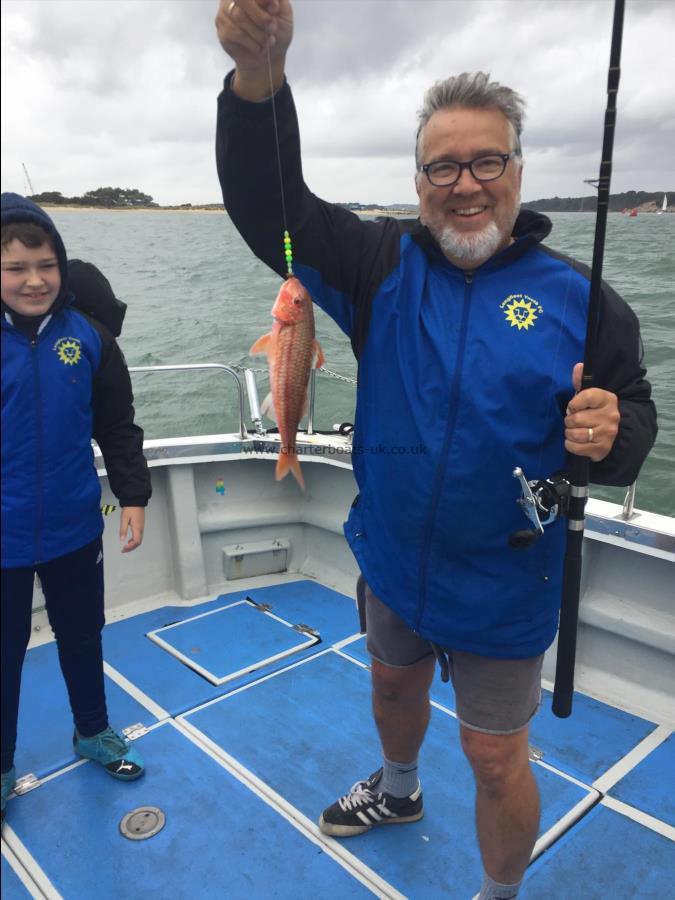 1 lb Red Mullet by Unknown