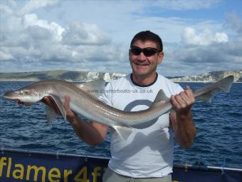 11 lb 8 oz Starry Smooth-hound by Zoran Cvetkovic