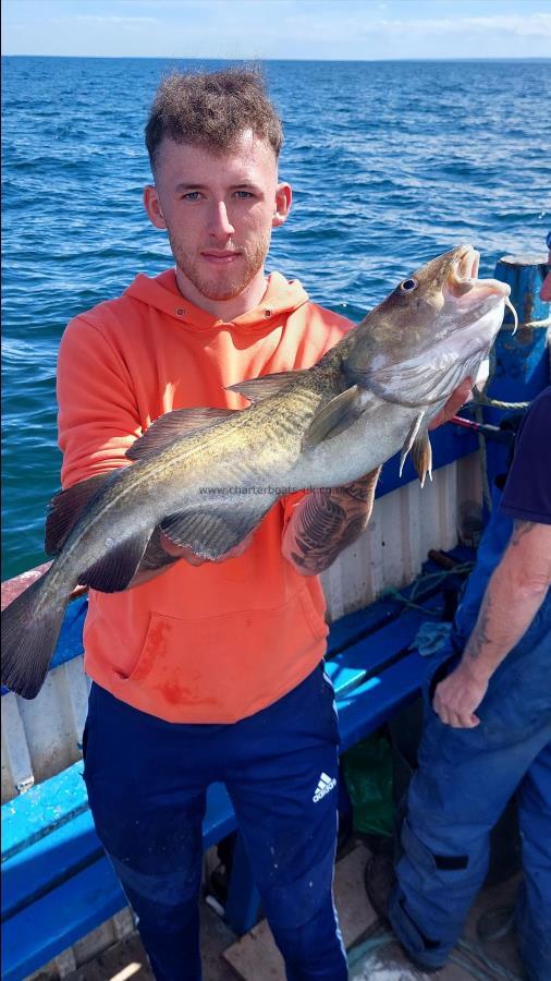 6 lb Cod by Unknown