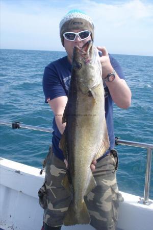 17 lb Pollock by James