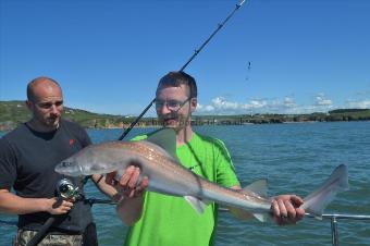 10 lb 5 oz Starry Smooth-hound by Unknown
