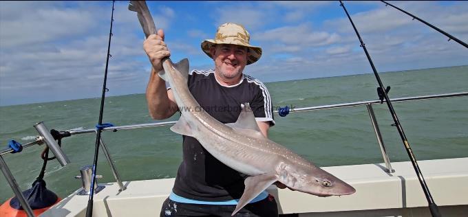 11 lb 4 oz Starry Smooth-hound by Jim