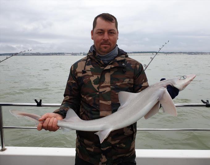 8 lb Smooth-hound by Bob Marshall
