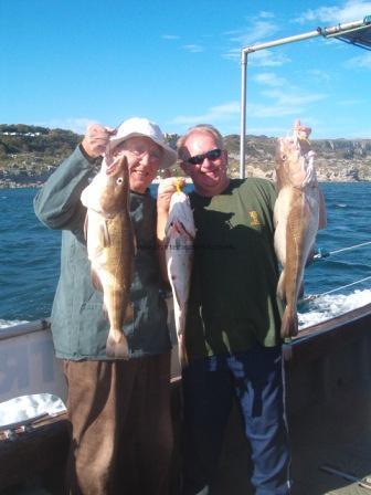 6 lb 10 oz Cod by Unknown