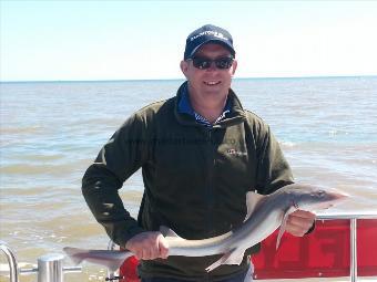 5 lb Starry Smooth-hound by chris lomax