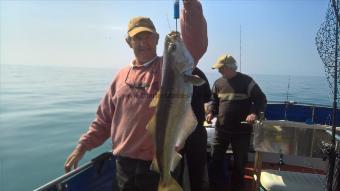 12 lb Pollock by Stephen Wake