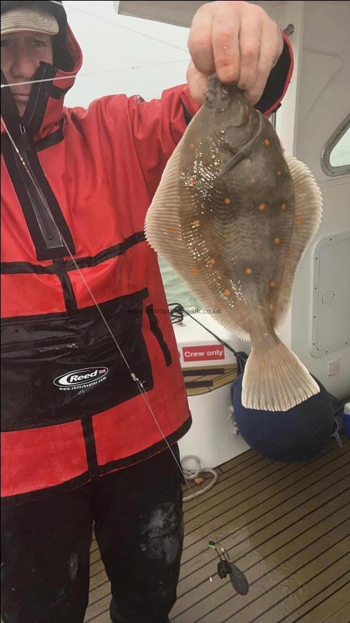 2 lb Plaice by Unknown