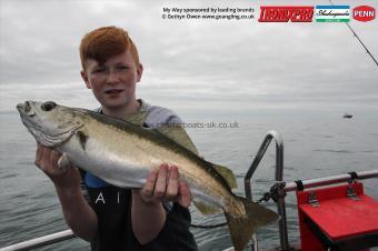 4 lb Pollock by Steve