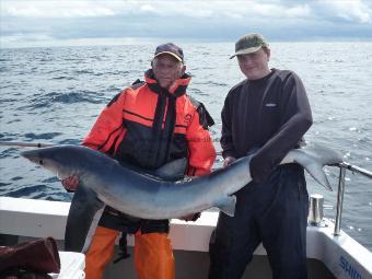 80 lb Blue Shark by Andy Truelove