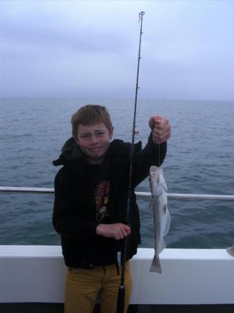 1 lb 8 oz Whiting by Unknown