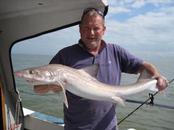 11 lb 4 oz Smooth-hound by Stu again!