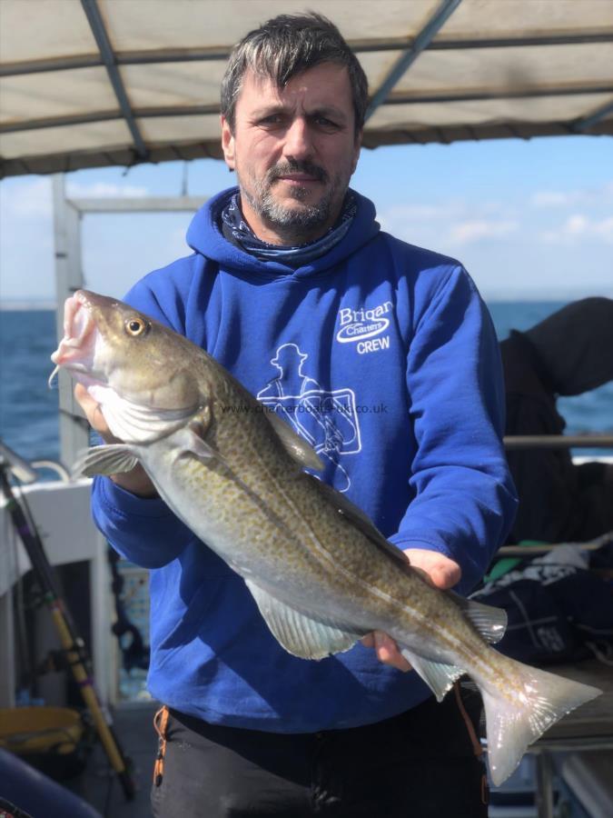 4 lb 5 oz Cod by Nick