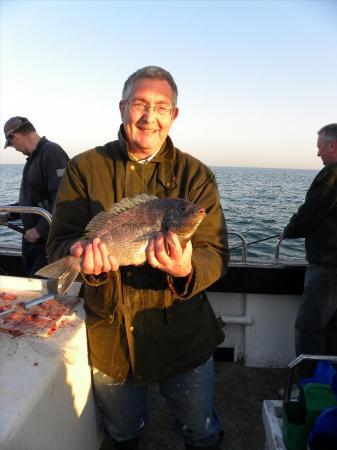 3 lb 6 oz Black Sea Bream by Unknown