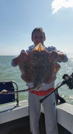 7 lb 3 oz Common Skate by Unknown