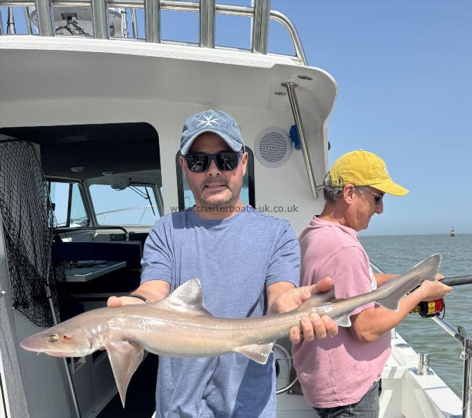 9 lb Starry Smooth-hound by Martin