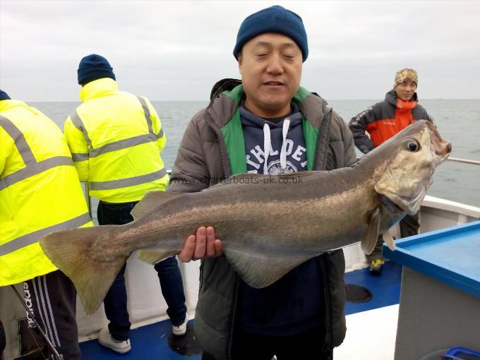 16 lb 2 oz Pollock by Unknown