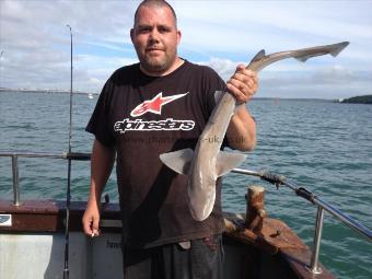 4 lb Starry Smooth-hound by Joe Pro