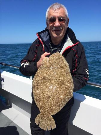 5 lb Brill by Paul Gosling