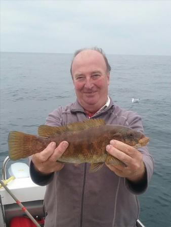 3 lb 2 oz Ballan Wrasse by John