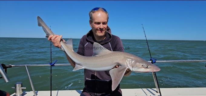 7 lb Starry Smooth-hound by Edwin