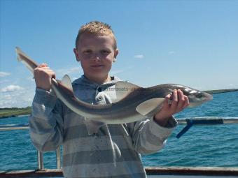 7 lb Starry Smooth-hound by Matt