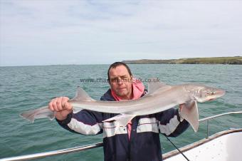 8 lb Starry Smooth-hound by Barry