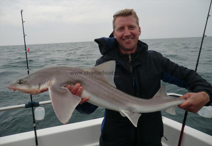 10 lb 1 oz Starry Smooth-hound by unknown