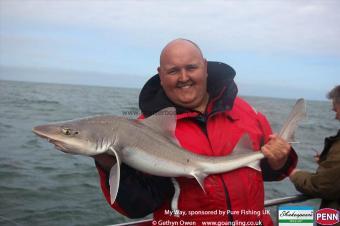 13 lb Starry Smooth-hound by Frannie