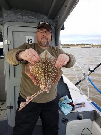 3 lb Thornback Ray by David mingay