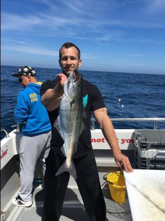 6 lb Coalfish (Coley/Saithe) by Unknown