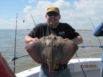 7 lb Thornback Ray by Shannon Choi