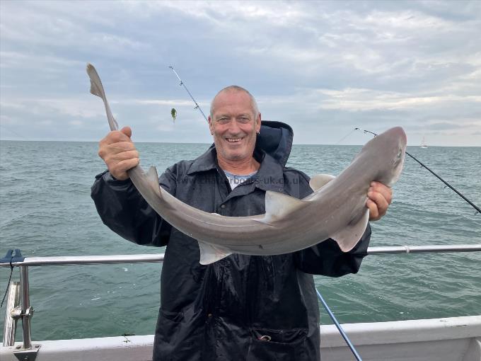 12 lb Smooth-hound by Unknown