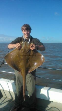 16 lb Blonde Ray by olly