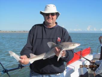 5 lb 5 oz Smooth-hound by Clive Smithson