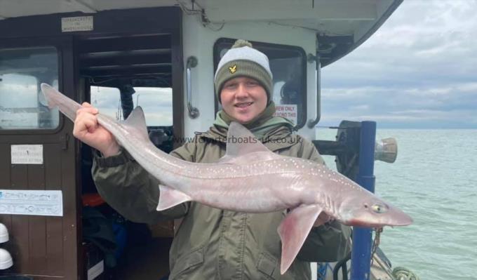 9 lb Smooth-hound by Unknown