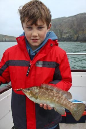 1 lb 89 oz Ballan Wrasse by Luke