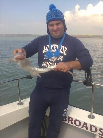 5 lb Starry Smooth-hound by Andy Truelove