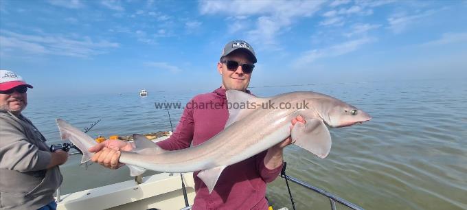 18 lb Starry Smooth-hound by Nick