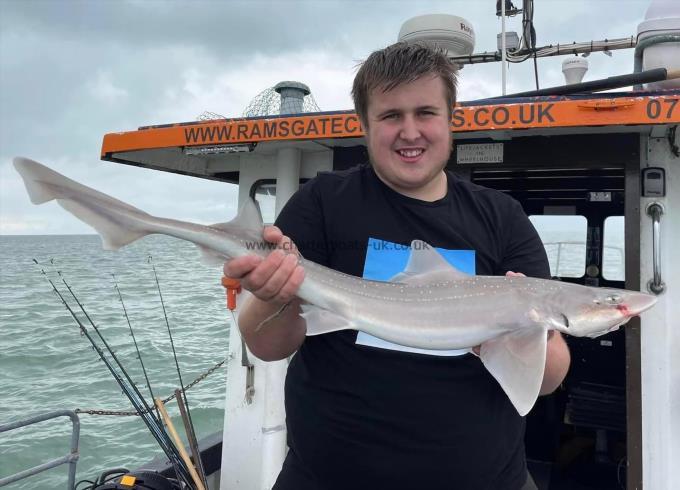 6 lb Smooth-hound by Unknown
