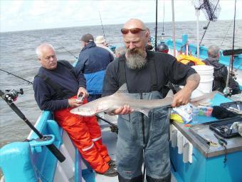 7 lb Smooth-hound by Phil