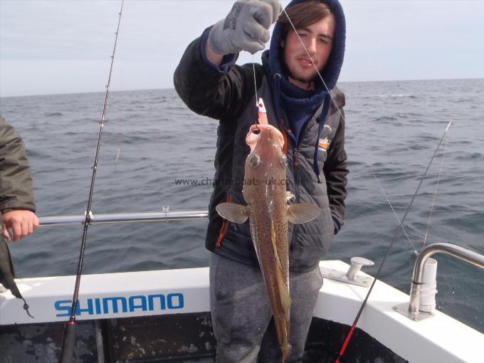 3 lb 15 oz Cod by Fergus Powell.