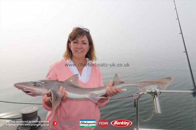 10 lb Starry Smooth-hound by Emma