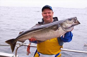 17 lb Coalfish (Coley/Saithe) by Bruce