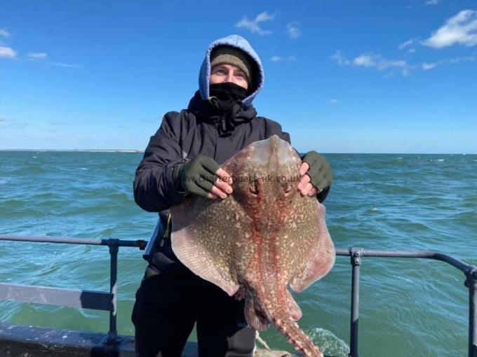 11 lb Thornback Ray by Unknown