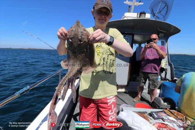 5 lb Thornback Ray by Jake