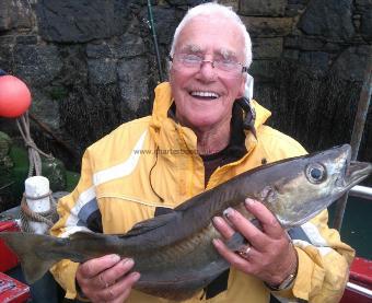 6 lb 8 oz Pollock by des ashman