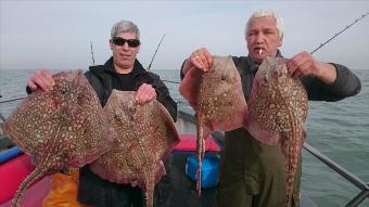 9 lb 2 oz Thornback Ray by Las from belguim