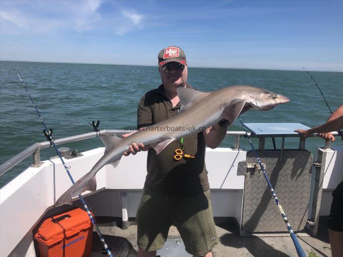 1 oz Smooth-hound by Unknown