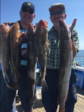 8 lb Cod by 2 doctors alister and paul 17th july